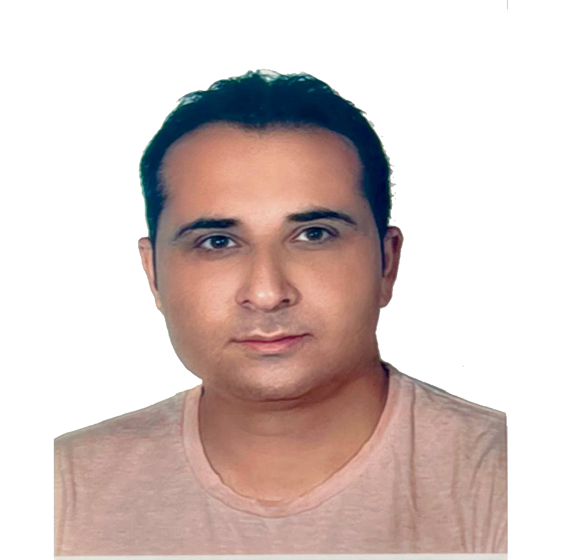 مهندس گل‌احمدی